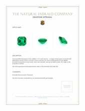 2.75 Ct. Emerald from Zambia Appraisal