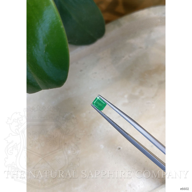 0.65 Ct. Emerald from Colombia