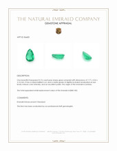 0.76 Ct. Emerald from Zambia Appraisal