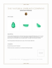 0.76 Ct. Emerald from Zambia Appraisal