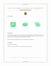 0.87 Ct. Emerald from Colombia Appraisal