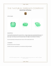 0.87 Ct. Emerald from Colombia Appraisal