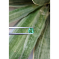 0.87 Ct. Emerald from Colombia Life Style