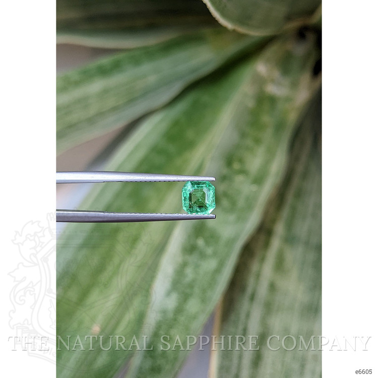 0.87 Ct. Emerald from Colombia