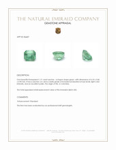 1.21 Ct. Emerald from Colombia Appraisal