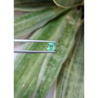 1.21 Ct. Emerald from Colombia Life Style