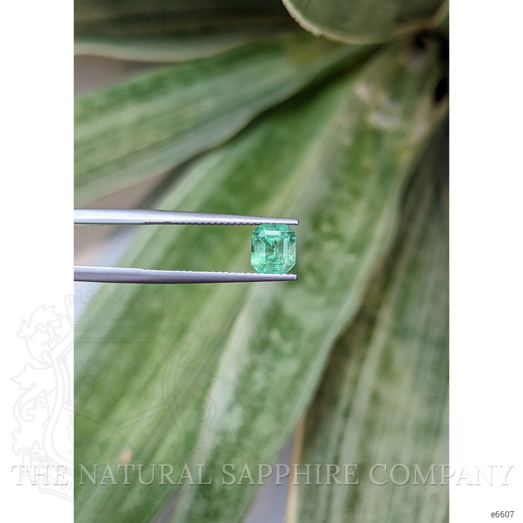 1.21 Ct. Emerald from Colombia
