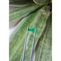 1.57 Ct. Emerald from Colombia Life Style