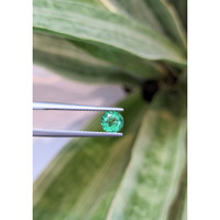 0.67 Ct. Emerald from Zambia Life Style