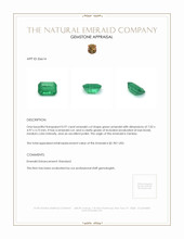 0.97 Ct. Emerald from Zambia Appraisal