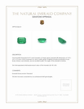 0.97 Ct. Emerald from Zambia Appraisal