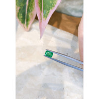 0.97 Ct. Emerald from Zambia Life Style