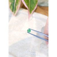 0.66 Ct. Emerald from Zambia Life Style