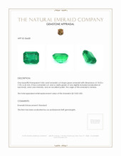 3.86 Ct. Emerald from Zambia Appraisal