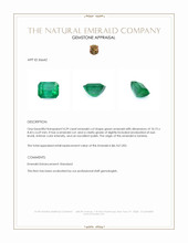 Jewelry Appraisal