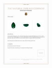 Jewelry Appraisal