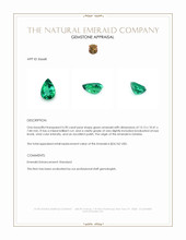 6.90 Ct. Emerald from Zambia Appraisal
