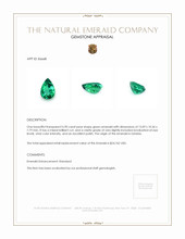 6.90 Ct. Emerald from Zambia Appraisal