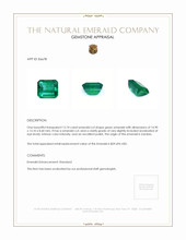 12.74 Ct. Emerald from Zambia Appraisal