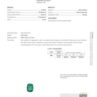 Jewelry Scan Report