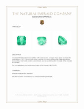2.98 Ct. Emerald from Colombia Appraisal