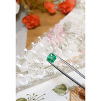 2.98 Ct. Emerald from Colombia Life Style