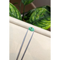 1.96 Ct. Emerald from Brazil Life Style