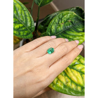 2.71 Ct. Emerald from Brazil Life Style