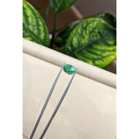 2.71 Ct. Emerald from Brazil Life Style