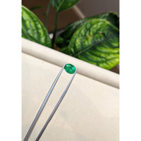 1.96 Ct. Emerald from Brazil Life Style