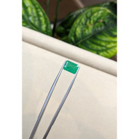 2.66 Ct. Emerald from Brazil Life Style