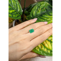 2.66 Ct. Emerald from Brazil Life Style