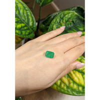 3.82 Ct. Emerald from Brazil Life Style