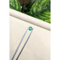 0.91 Ct. Emerald from Brazil Life Style