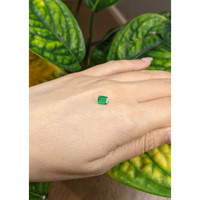 0.67 Ct. Emerald from Colombia Life Style