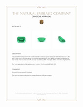 0.70 Ct. Emerald from Afghanistan Appraisal