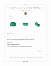 1.21 Ct. Emerald from Afghanistan Appraisal