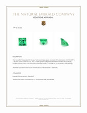 0.12 Ct. Emerald from Afghanistan Appraisal