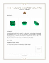 3.42 Ct. Emerald from Colombia Appraisal