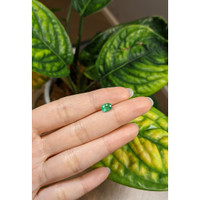 0.97 Ct. Emerald from Brazil Life Style