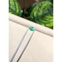 0.97 Ct. Emerald from Brazil Life Style