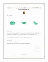0.69 Ct. Emerald from Brazil Appraisal