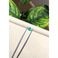 0.69 Ct. Emerald from Brazil Life Style