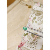 0.57 Ct. Emerald from Brazil Life Style