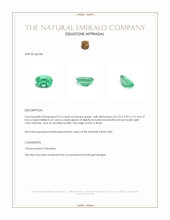 0.75 Ct. Emerald from Brazil Appraisal