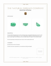 0.75 Ct. Emerald from Brazil Appraisal