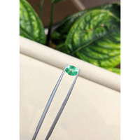 1.02 Ct. Emerald from Ethiopia Life Style