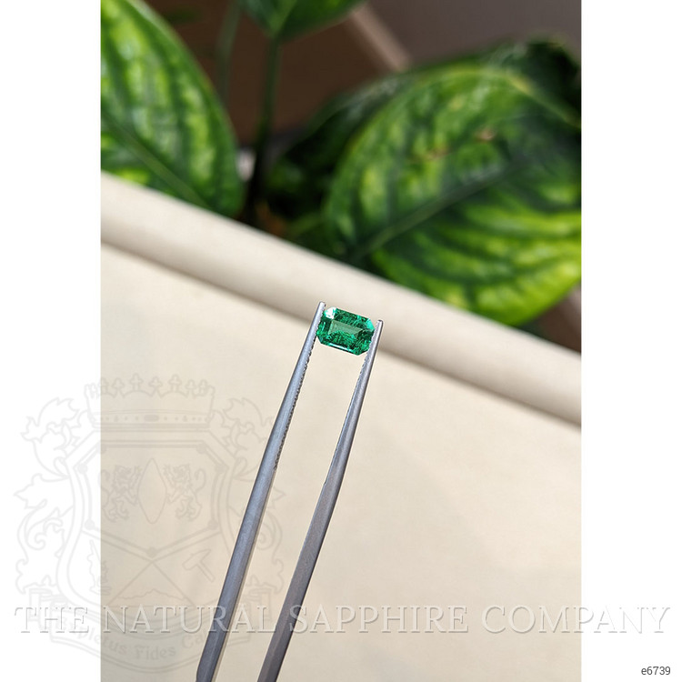 0.72 Ct. Emerald from Zambia