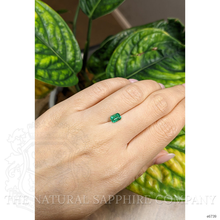 0.72 Ct. Emerald from Zambia