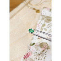 0.52 Ct. Emerald from Zambia Life Style